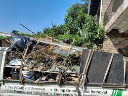 Types of Items We Remove From Your Property in North Judson, IN